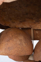 Pendant Lamp “Grono 11”