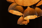 Pendant Lamp “Grono 11”